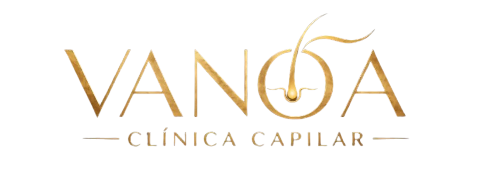 Staging – VanoA Clínica Capilar